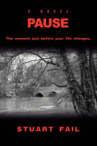 Cover image for Pause: A Novel