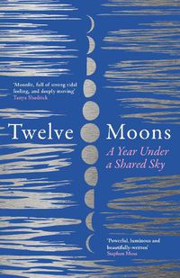 Cover image for Twelve Moons