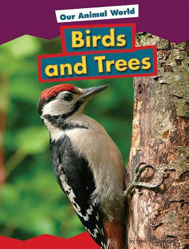 Cover image for Birds and Trees