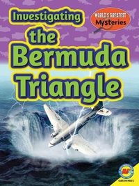 Cover image for Investigating the Bermuda Triangle