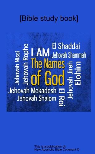 Cover image for The Names of God