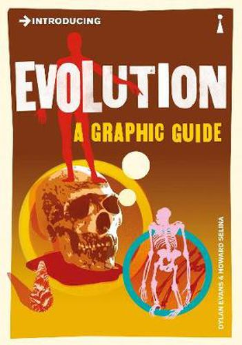 Cover image for Introducing Evolution: A Graphic Guide