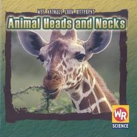 Cover image for Animal Heads and Necks