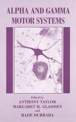 Cover image for Alpha and Gamma Motor Systems: Proceedings of a Symposium Held in London, England, July 11-14, 1994