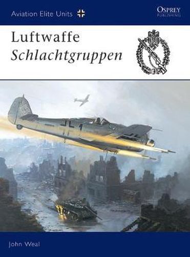 Cover image for Luftwaffe Schlachtgruppen