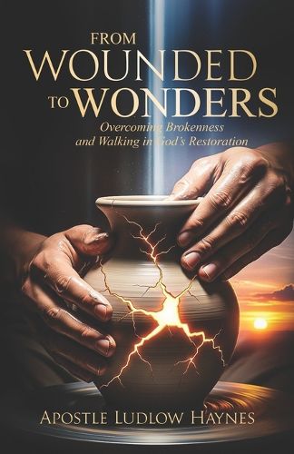 Cover image for From Wounded to Wonders