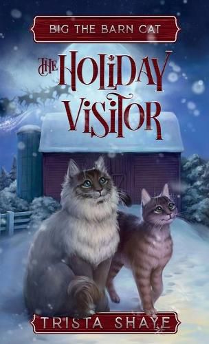 Cover image for The Holiday Visitor