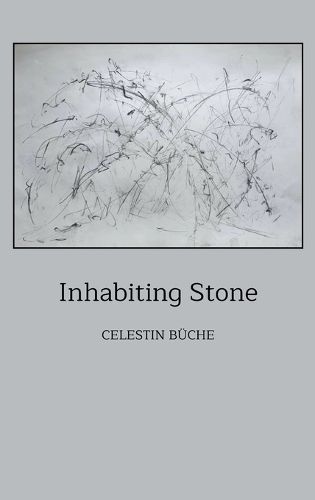 Cover image for Inhabiting Stone