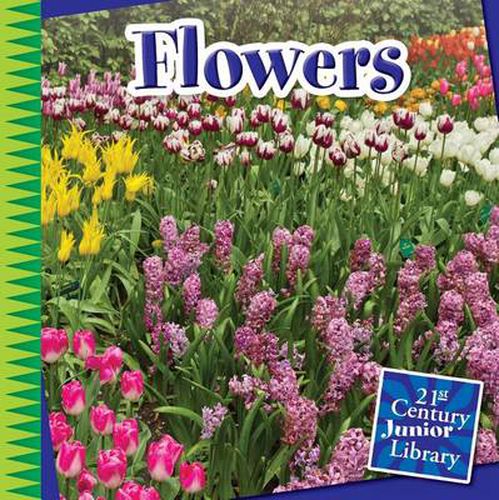 Cover image for Flowers