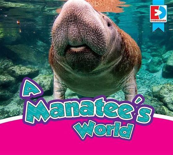 A Manatee's World