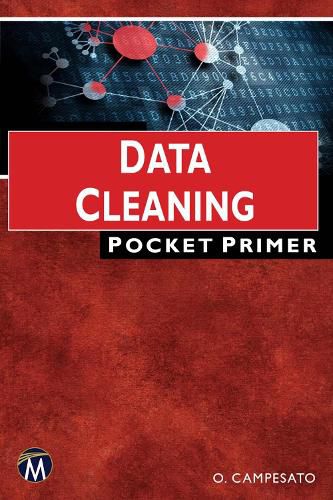 Cover image for Data Cleaning: Pocket Primer