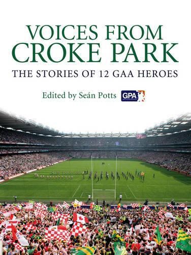 Cover image for Voices from Croke Park: The Stories of 12 GAA Heroes