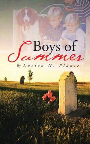 Cover image for Boys of Summer