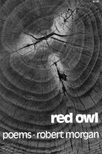 Cover image for Red Owl: Poems
