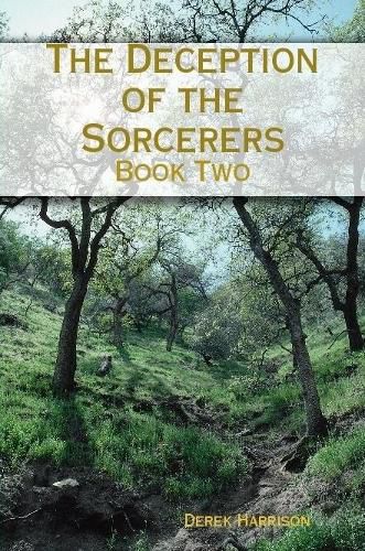 Cover image for The Deception of the Sorcerers