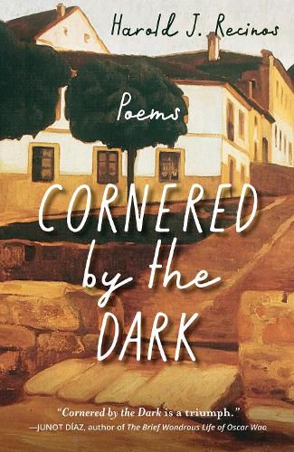 Cover image for Cornered by the Dark: Poems