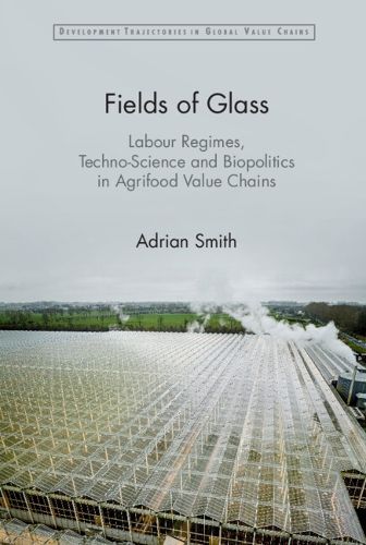 Cover image for Fields of Glass