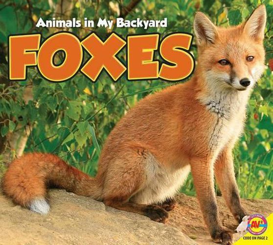 Cover image for Foxes