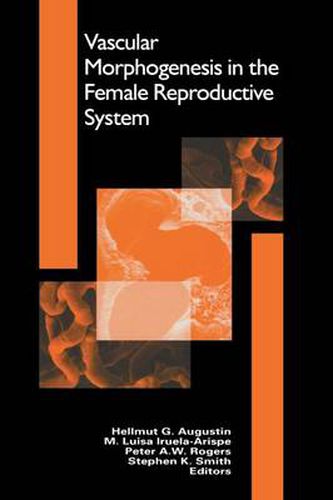 Vascular Morphogenesis in the Female Reproductive System