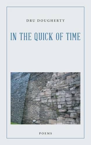 Cover image for In the Quick of Time: Poems