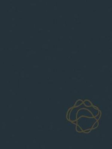 Cover image for Handbook of Generalized Gas Dynamics