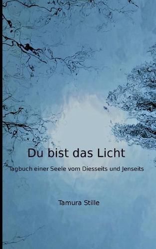 Cover image for Du bist das Licht: Tagebuch einer Seele vom Diesseits und Jenseits