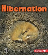 Cover image for Hibernation