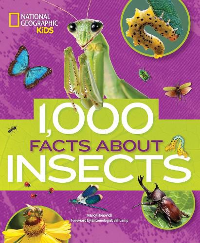 Cover image for 1000 Facts About Insects