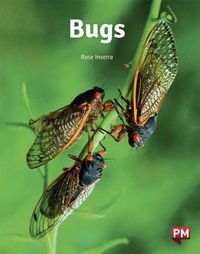 Cover image for Bugs Bugs