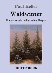 Cover image for Waldwinter: Roman aus den schlesischen Bergen