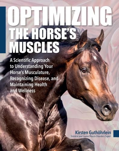 Cover image for Optimizing the Horse's Muscles