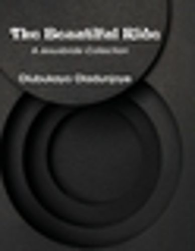 Cover image for The Beautiful Ride