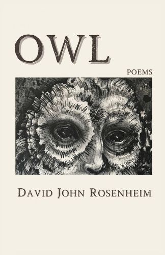 Cover image for Owl