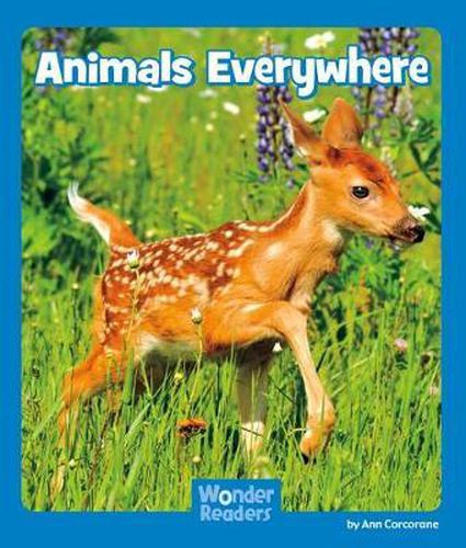 Cover image for A Zoo Full of Birds