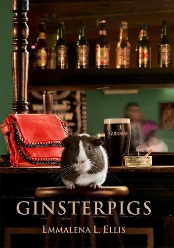 Cover image for Ginsterpigs