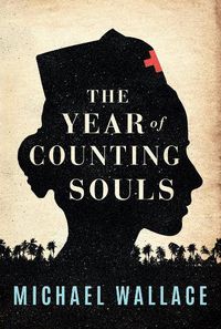 Cover image for The Year of Counting Souls