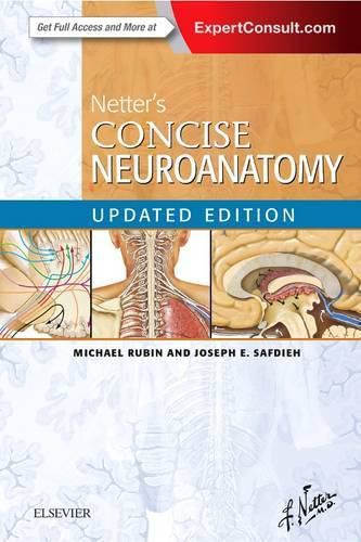 Cover image for Netter's Concise Neuroanatomy Updated Edition