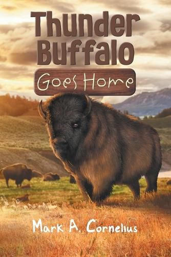 Cover image for Thunder Buffalo Goes Home