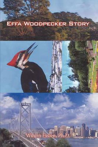 Cover image for Effa Woodpecker Story
