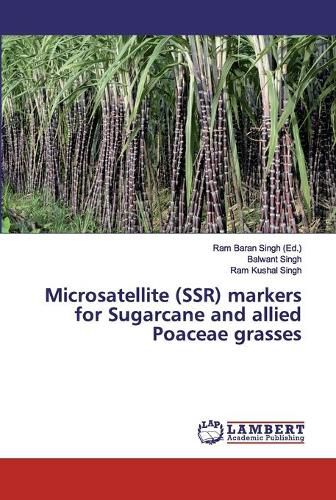 Cover image for Microsatellite (SSR) markers for Sugarcane and allied Poaceae grasses