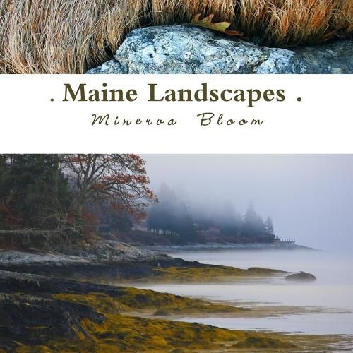 Cover image for Maine Landscapes