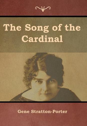 Cover image for The Song of the Cardinal