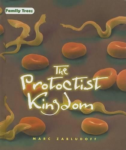 Cover image for The Protoctist Kingdom