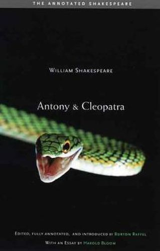 Cover image for Antony and Cleopatra