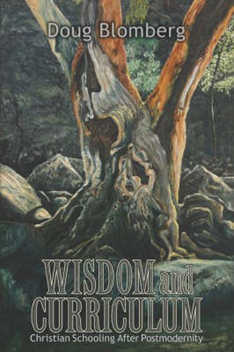 Cover image for Wisdom and Curriculum: Christian Schooling After Postmodernity