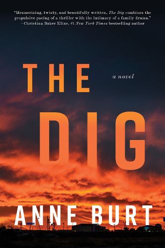 Cover image for The Dig