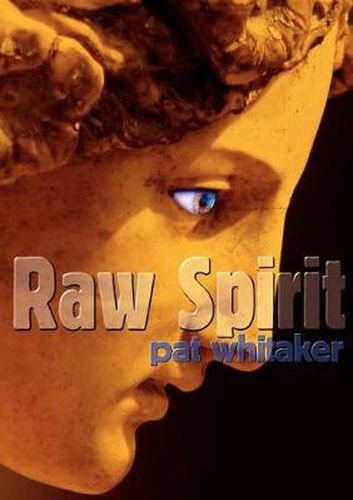 Cover image for Raw Spirit