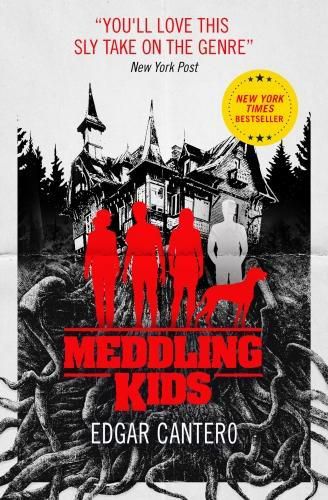 Cover image for Meddling Kids