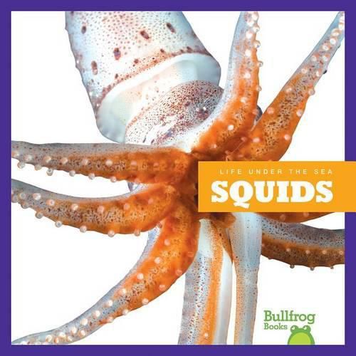 Cover image for Squids