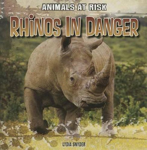 Cover image for Rhinos in Danger